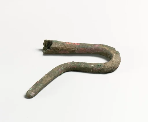 Shepherd's crook