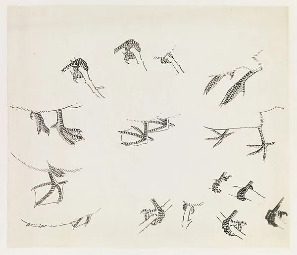 現代 謝稚柳 鳥爪畫稿 鏡片|Birds' Feet — Xie Zhiliu