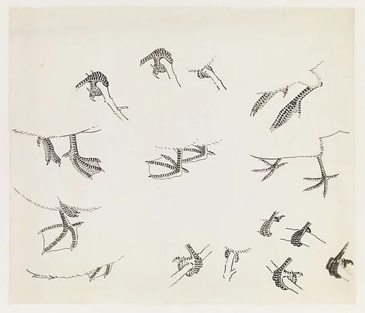 現代 謝稚柳 鳥爪畫稿 鏡片|Birds' Feet