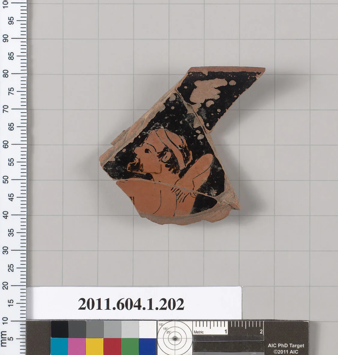 Terracotta fragment of a kylix (drinking cup) — Unknown