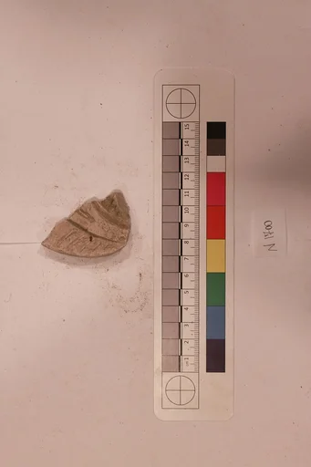 Stucco Fragment
