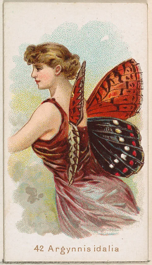 Card 42, Argynnis Idalia, from the Butterflies series (N183) issued by Wm. S. Kimball & Co. — William S. Kimball & Company|Julius Bien