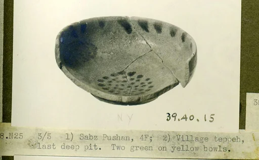 Bowl