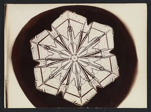 [Snow Crystal]