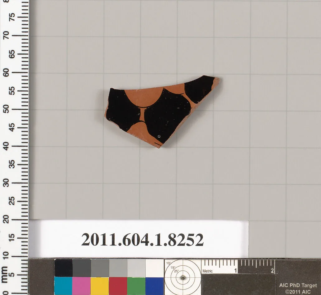 Terracotta fragment of a kylix (drinking cup) — Unknown