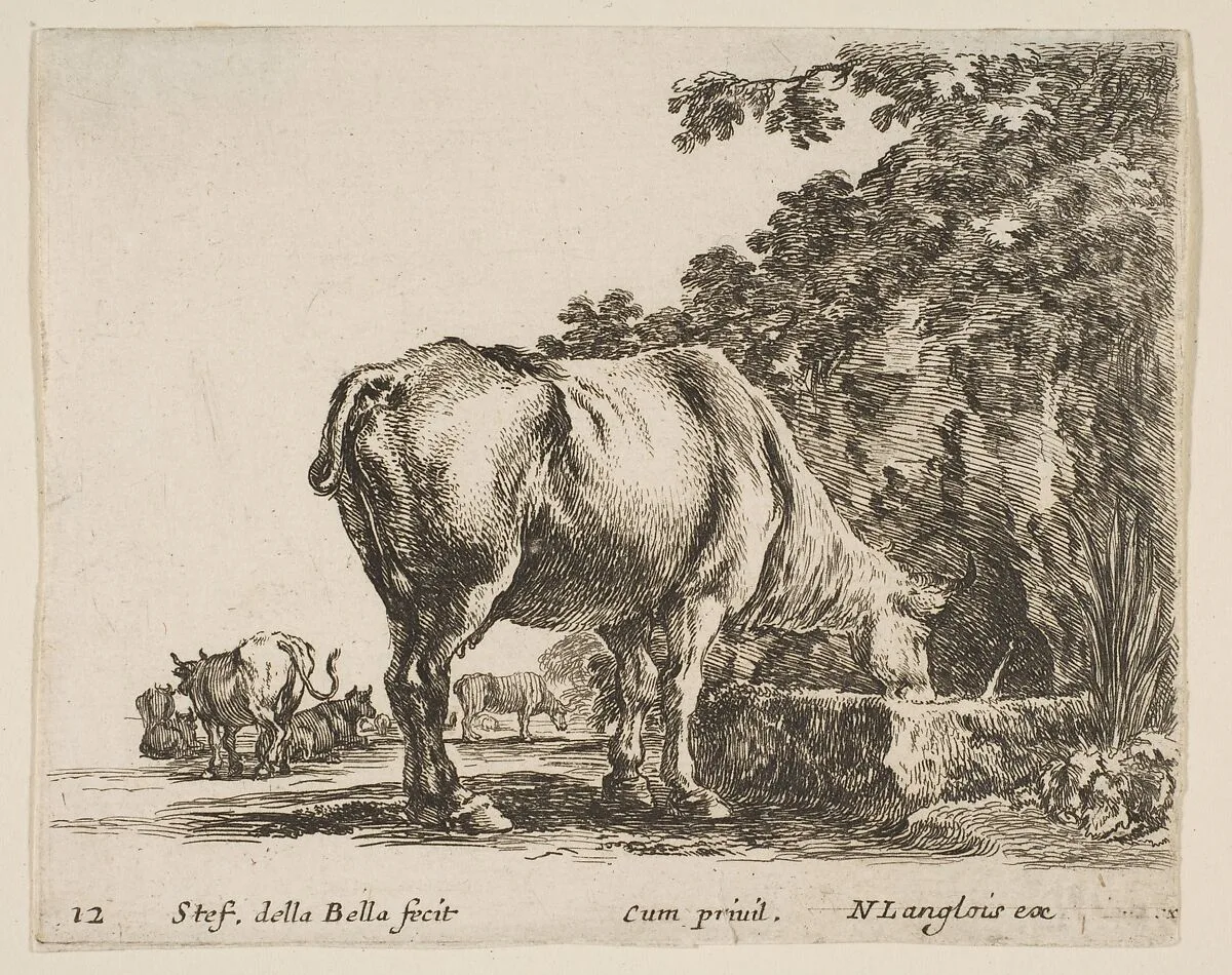 A cow drinking from a stone trough, other cows to left in background, plate 12 from "Diversi capricci" — Stefano della Bella|Nicolas Langlois