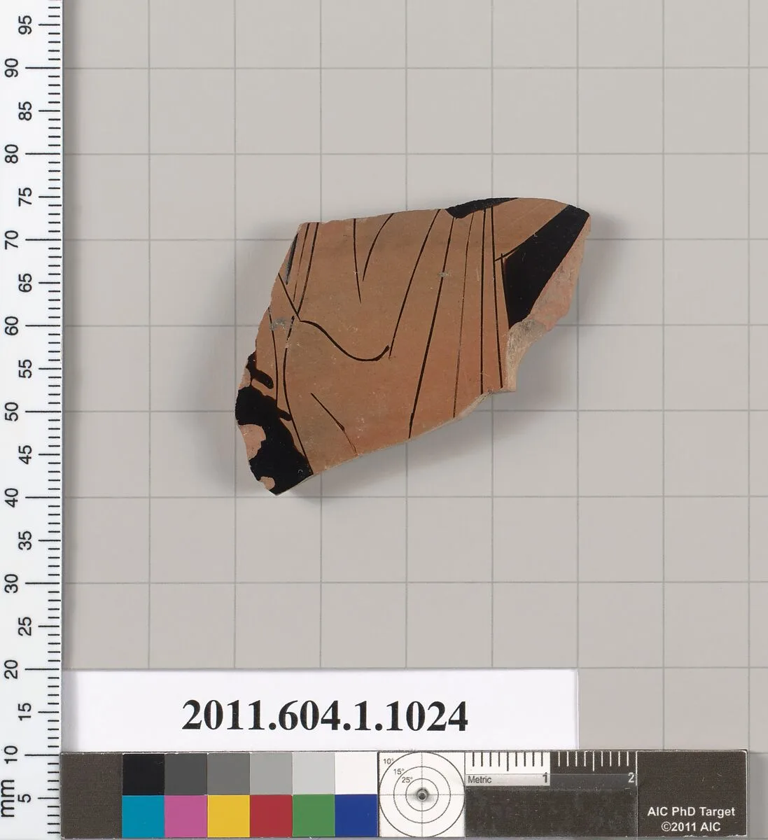 Terracotta fragment of a kylix (drinking cup) — Unknown