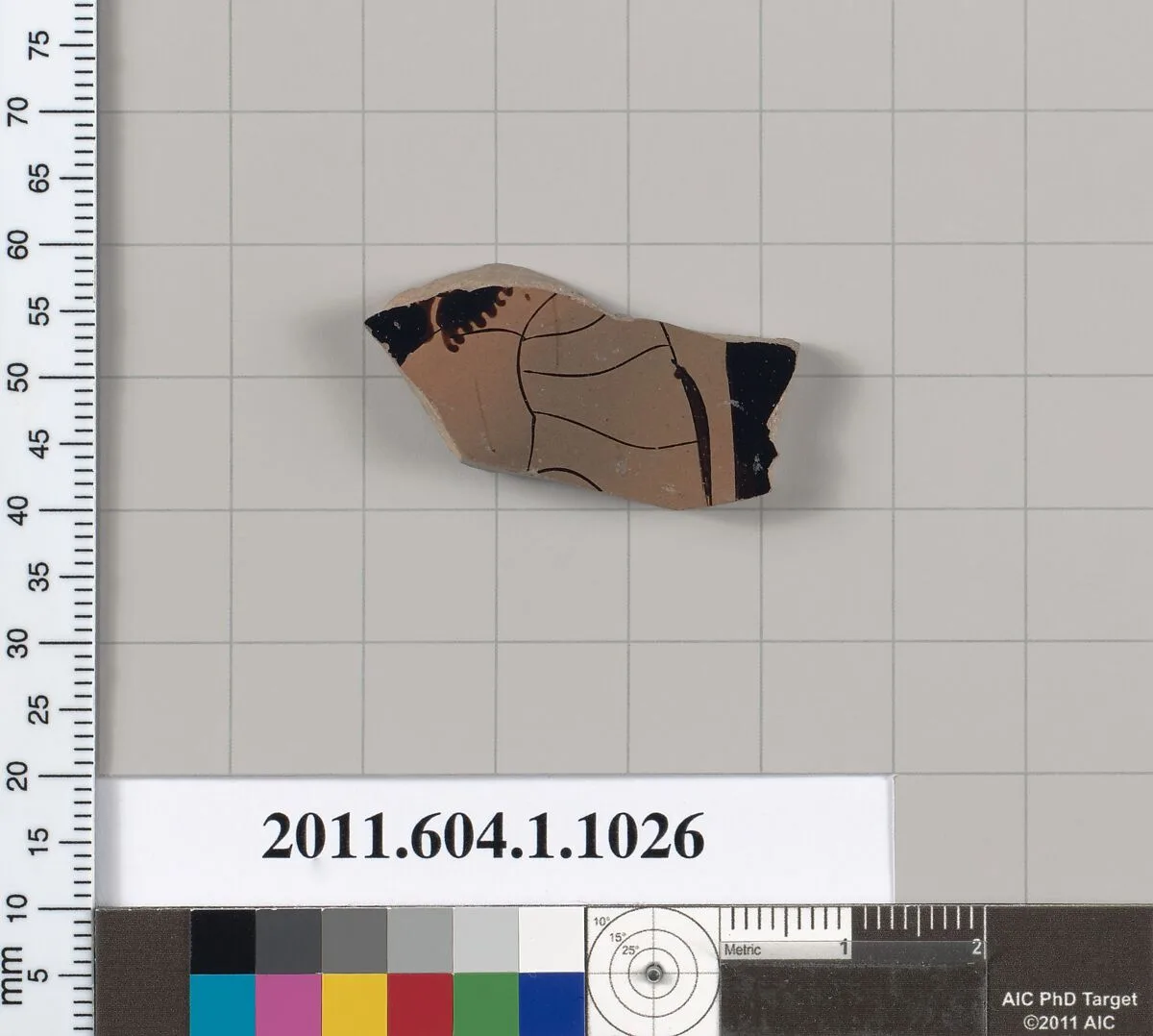 Terracotta fragment of a kylix (drinking cup) — Unknown