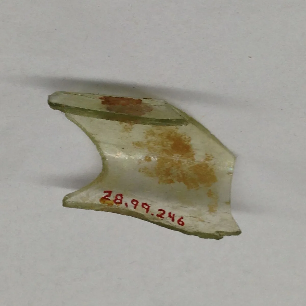 Fragment — Unknown