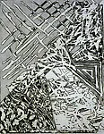 Swan Engraving I — Frank Stella