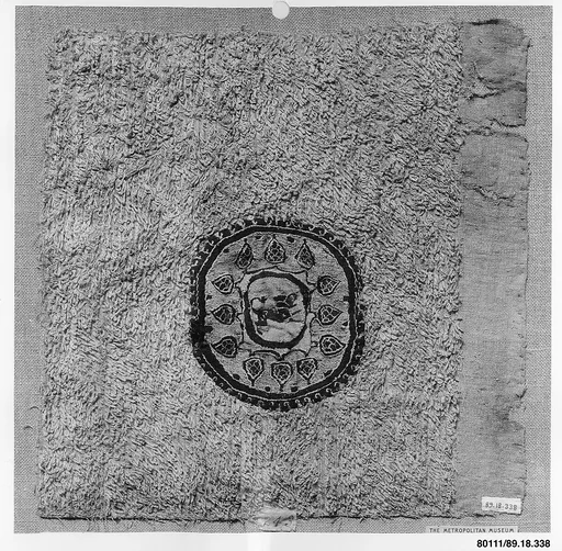 Textile Fragment
