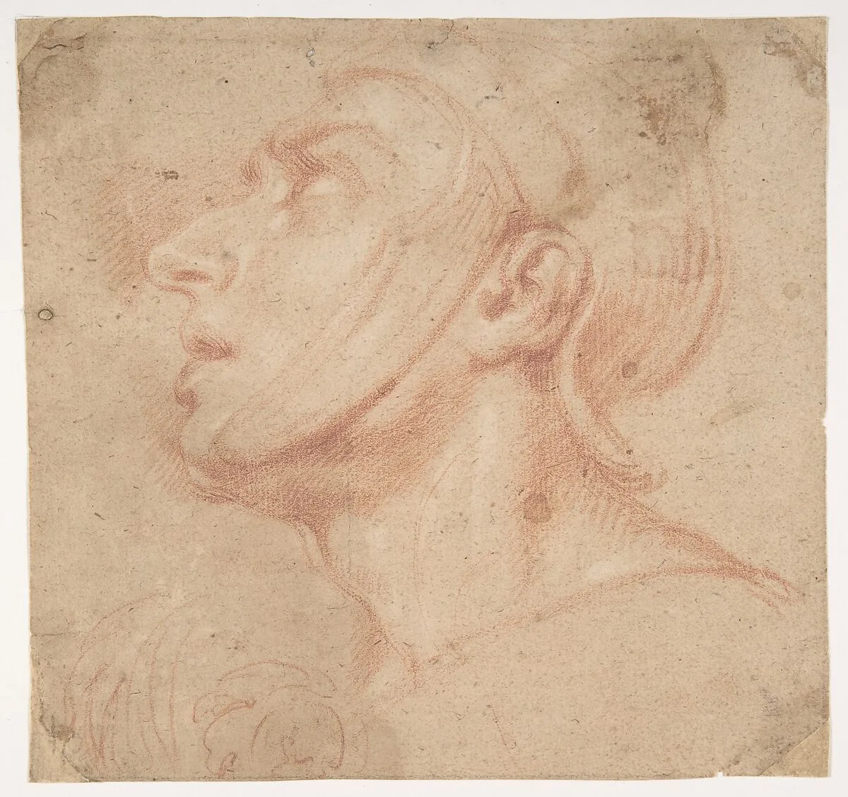 Head of a Man Wearing a Helmet, Looking to Upper Left (recto); Two Sketches, Arms and Hands (verso) — Francesco di Maria