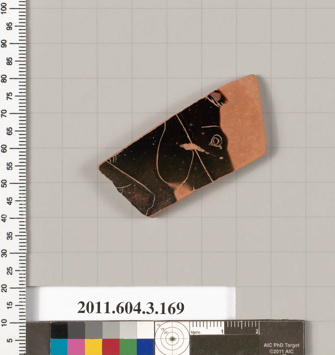 Terracotta fragment of an amphora (jar) — Unknown