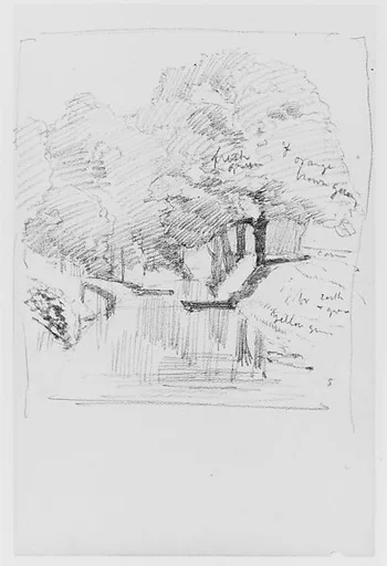 Trees (from Sketchbook)