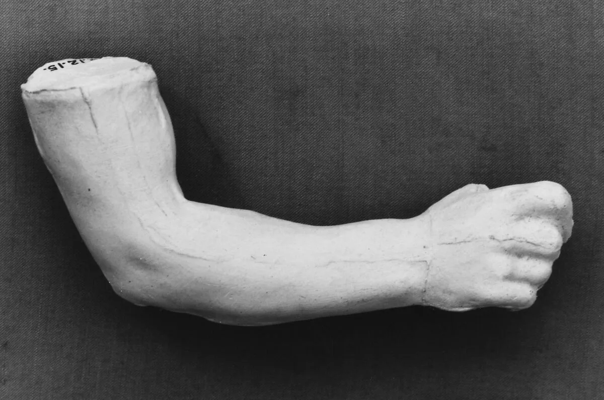 Study of an arm — Auguste Rodin