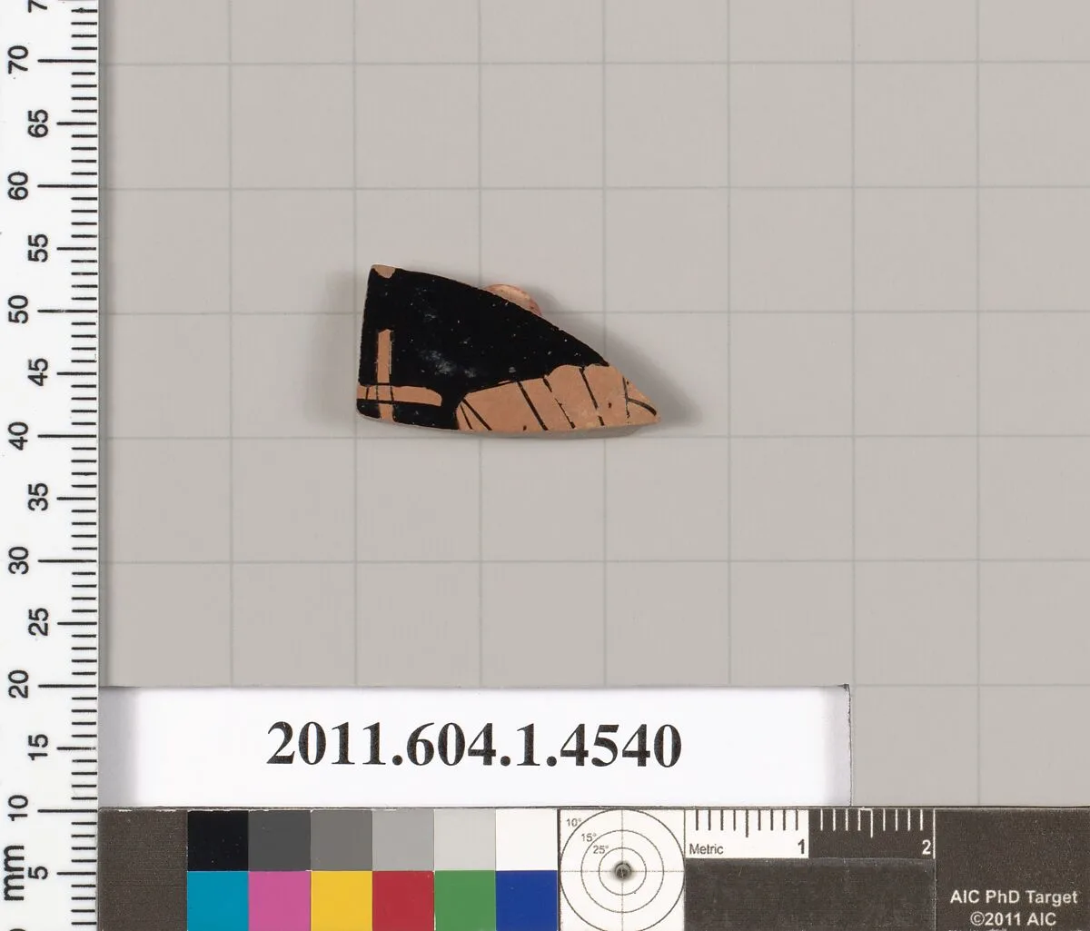 Terracotta fragment of a kylix (drinking cup) — Unknown