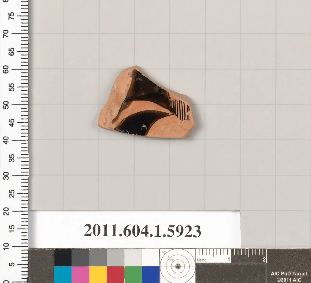 Terracotta fragment of a kylix (drinking cup) — Unknown