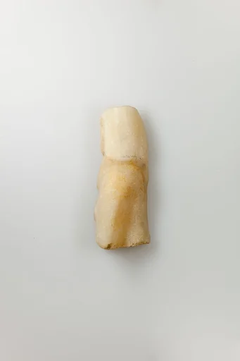 Shabti of Siptah
