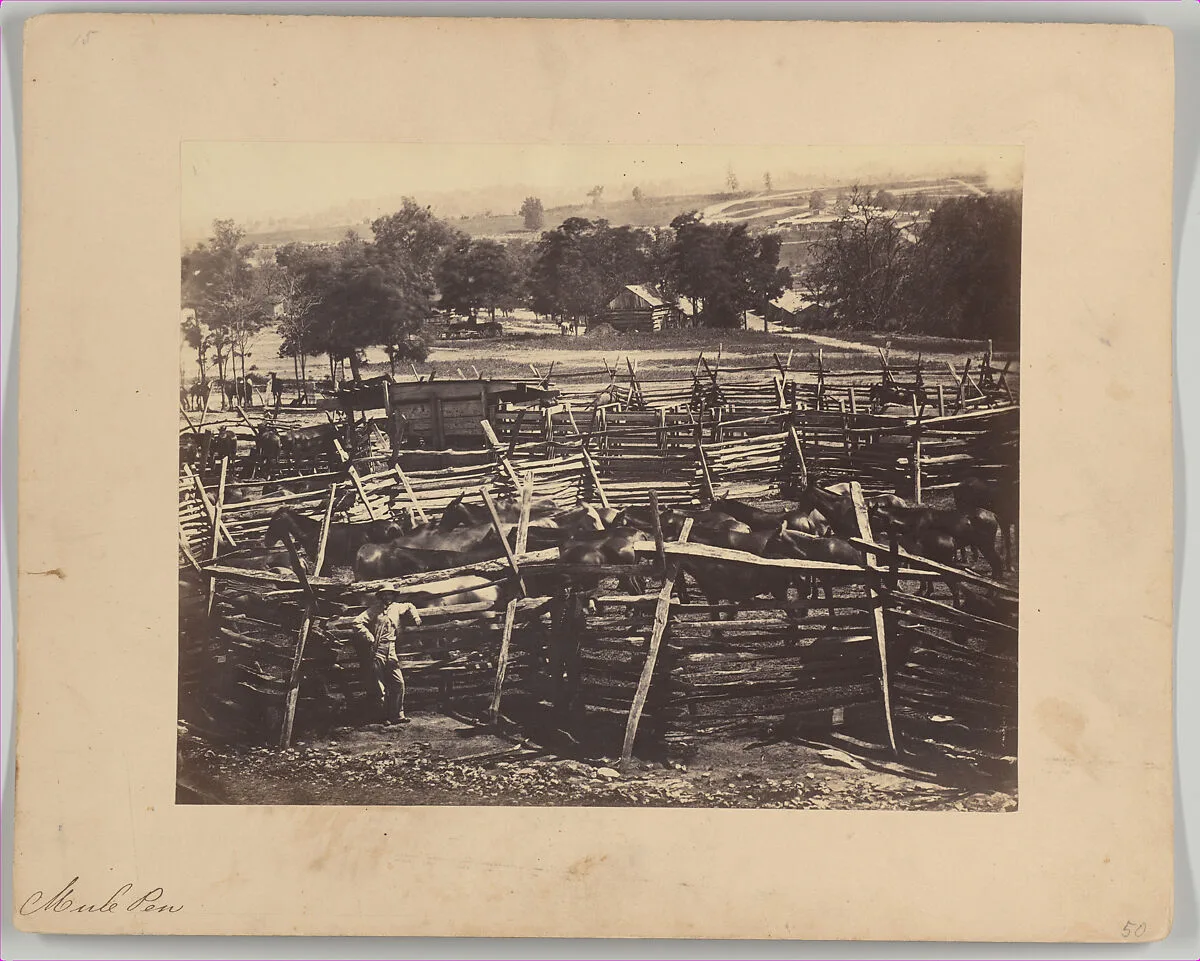 Mule Pen, Camp Nelson, Kentucky — F. Glessner|G. W. Foster