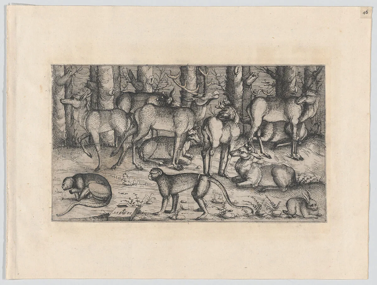 Stags in the Forest — Augustin Hirschvogel