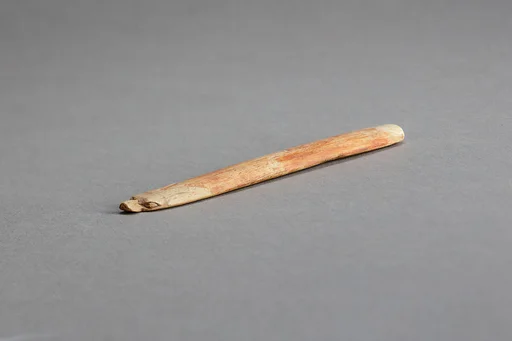 Throw Stick