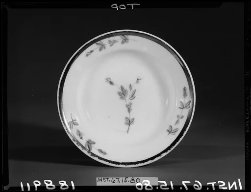 Saucer