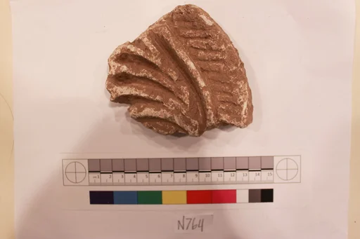 Stucco Fragment