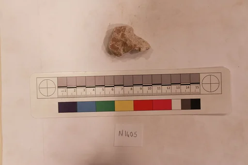 Stucco Fragment