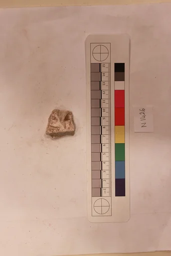 Stucco Fragment