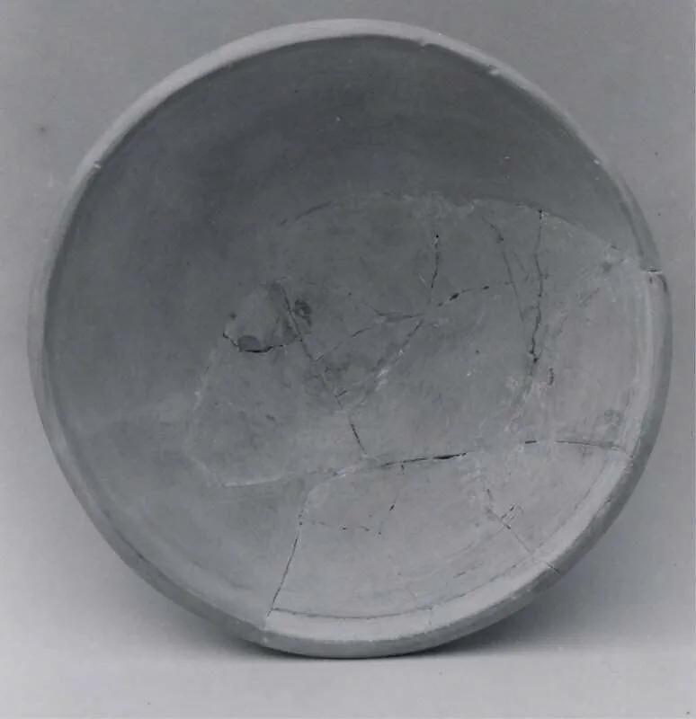 Palace Ware bowl — Unknown