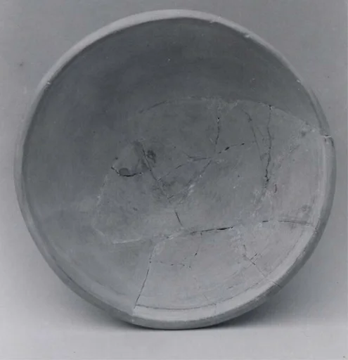 Palace Ware bowl