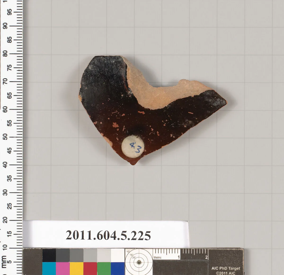 Terracotta fragment of a kylix (drinking cup) — Unknown