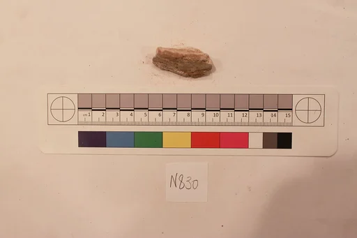Stucco Fragment