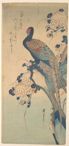 歌川広重画 菊に雉|Pheasant with Chrysanthemums