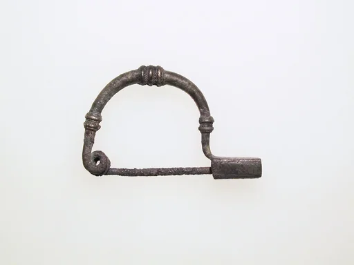 Fibula, bow-shaped