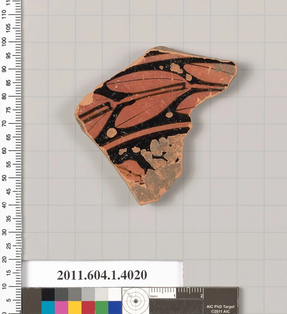 Terracotta fragment of a kylix (drinking cup) — Unknown