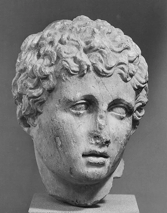 Marble head of a youth — Unknown