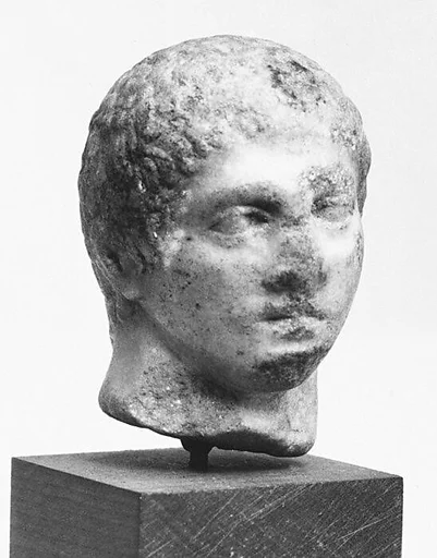 Marble head of a youth