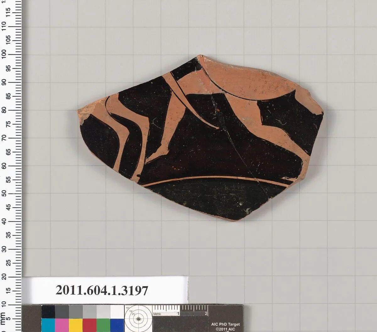 Terracotta fragment of a kylix (drinking cup) — Unknown