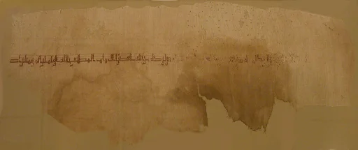 Textile Fragment