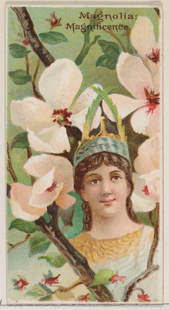 Magnolia: Magnificence, from the series Floral Beauties and Language of Flowers (N75) for Duke brand cigarettes — Donaldson Brothers|American Tobacco Company