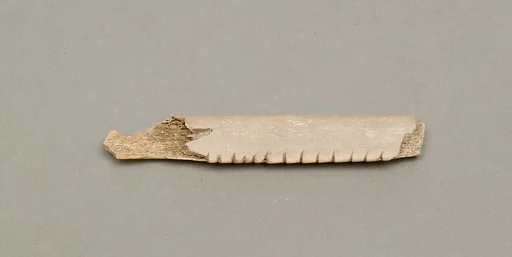 Weaving tool (?)