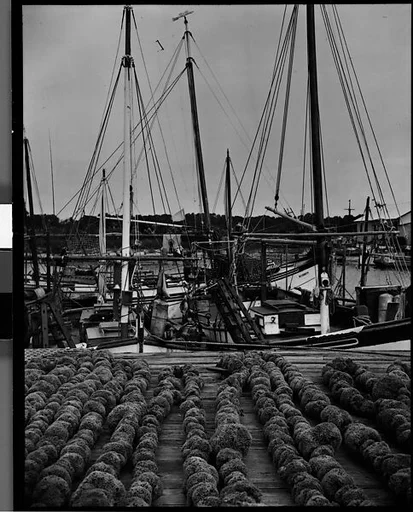 [Sponges on Wharf, Tarpon Springs, Florida]