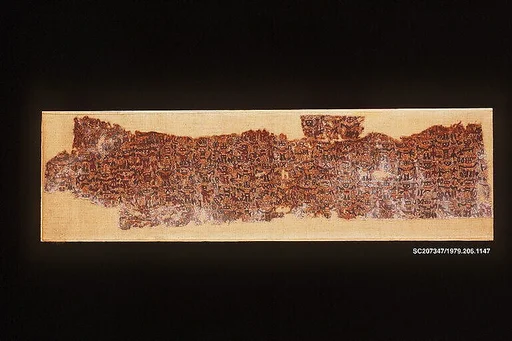 Dress Fragment