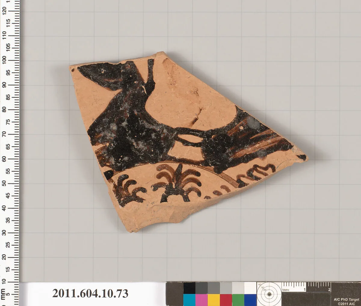 Terracotta fragment of a kylix (drinking cup) — Unknown