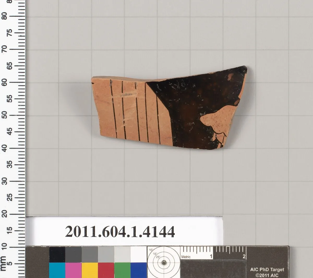Terracotta fragment of a kylix (drinking cup) — Unknown