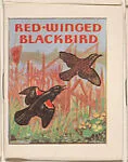 Red-Winged Blackbird from Eggers Bird Booklets (W607) — Unknown