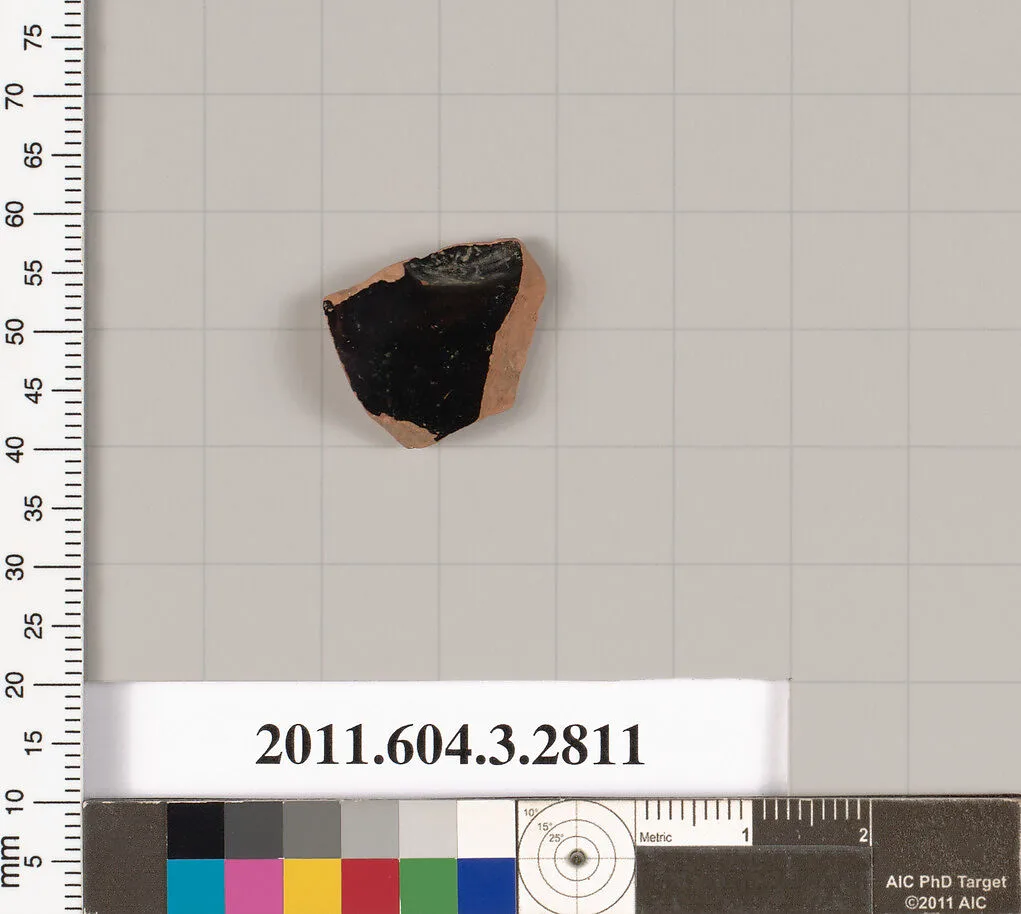 Terracotta fragment of a rhyton (vase for libations or drinking)? — Unknown