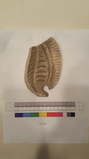 Stucco Fragment