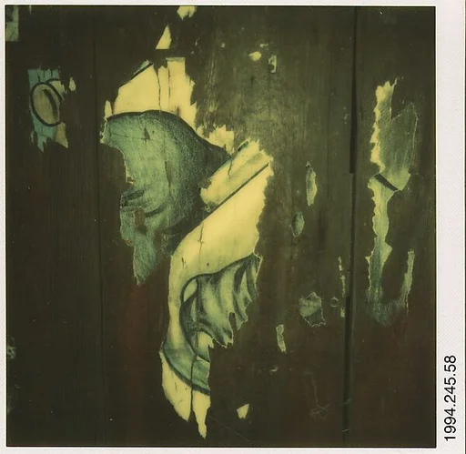[Detail of Torn Circus Poster (Elephant)]